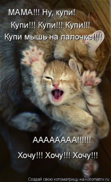 OBnum7SMW2E
