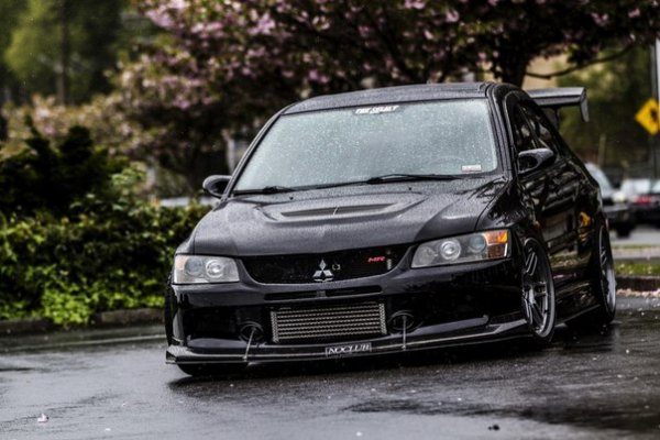 wM8trr Hcg