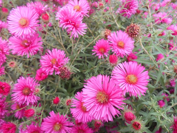 DSCN0002