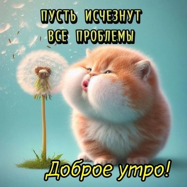 IMG-20250708-WA0023