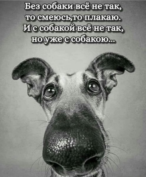 Да!