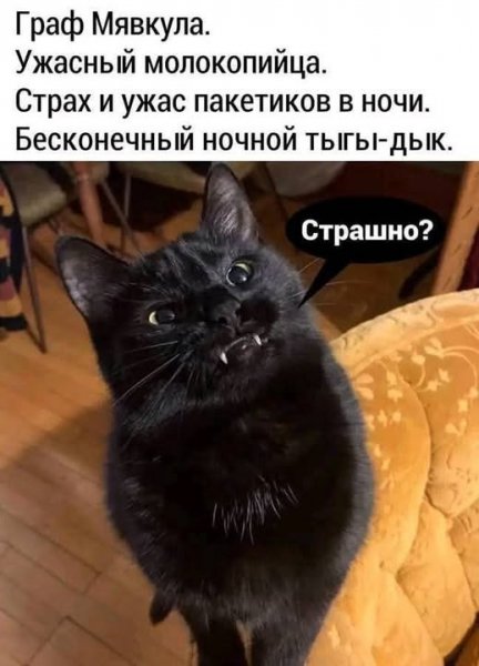 Граф Мявкула