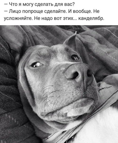 Да!