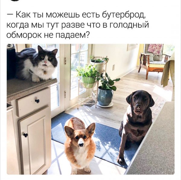 Опаньки!