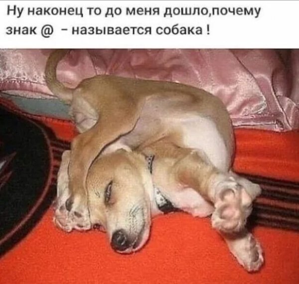 Опаньки!