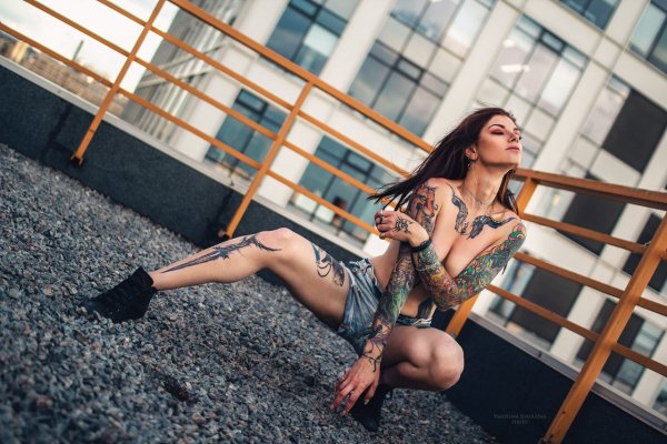 Золотая коллекция 17343