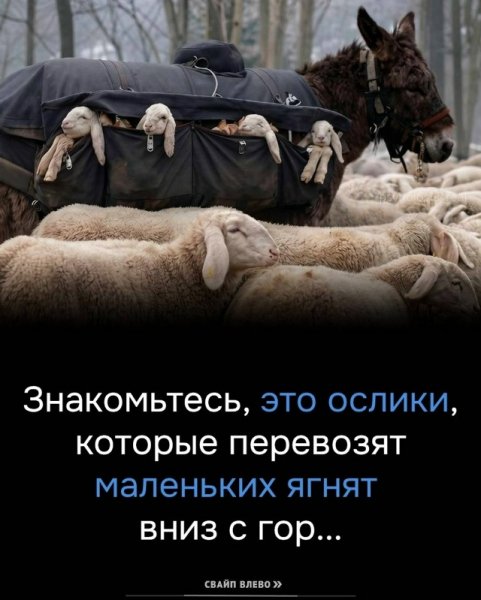 9KL1ZsUgiRBTXSk9FafBLCCskN VqPPQq-3mEeb nYBHx3AWFmgwmAk9BzjQ