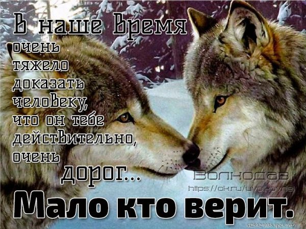 KuZxPrL7wfk-