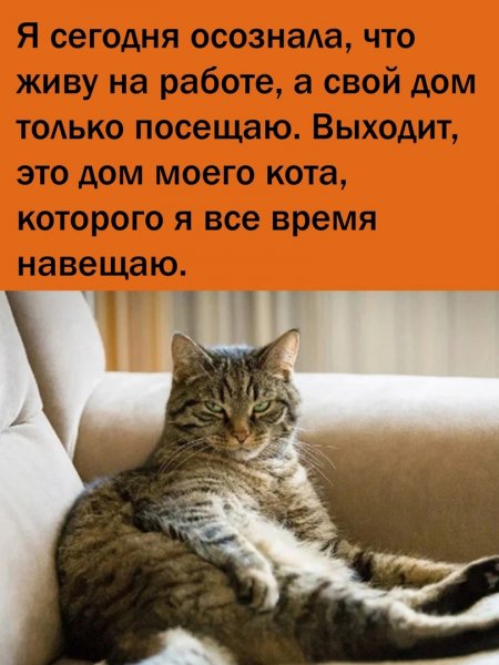 Я сегодня осознала...