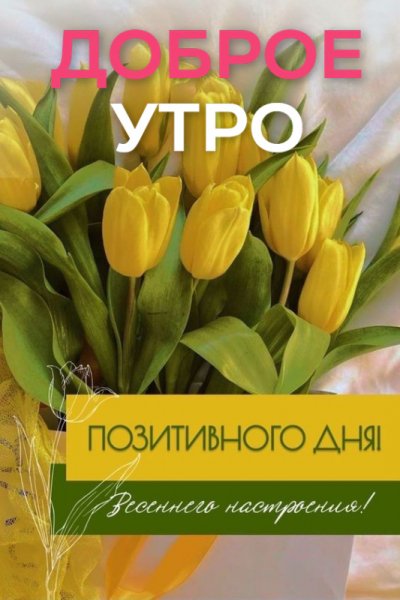 Друзья!