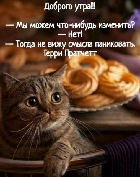 Терри Пратчетт