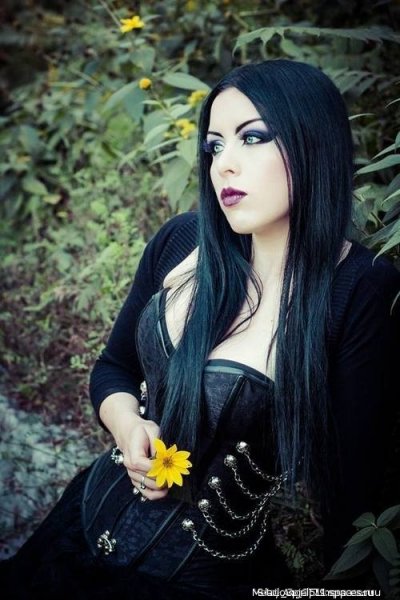 picture_143326002