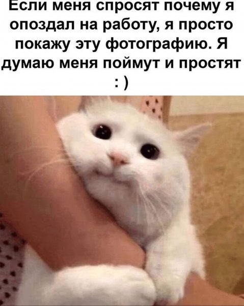 picture_291086259
