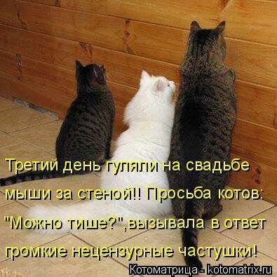 Третий день...