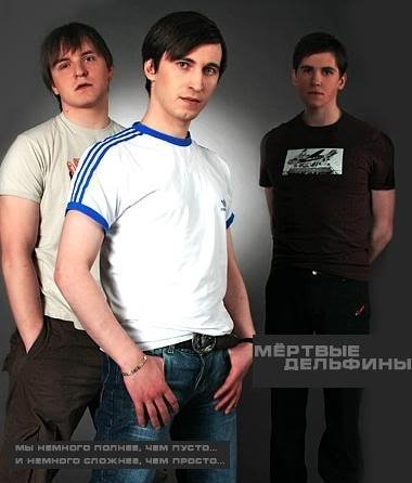 Мертвый дельфин