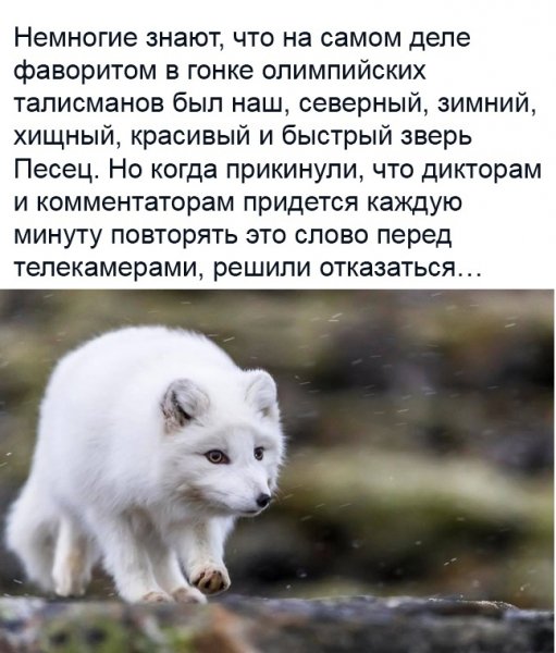 Интересный факт