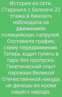 image (12)