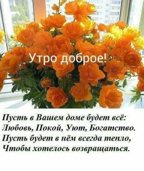 Друзья мои!