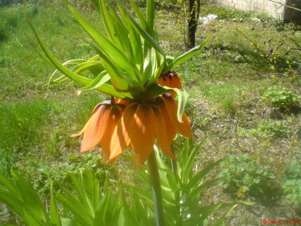 DSC00007