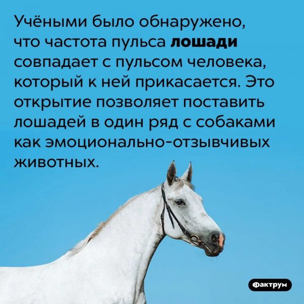 Это интересно