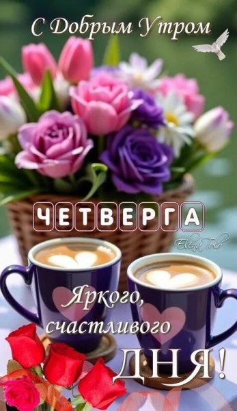 Друзья мои!