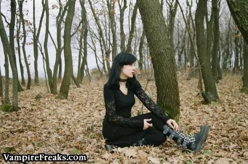 picture_387281397