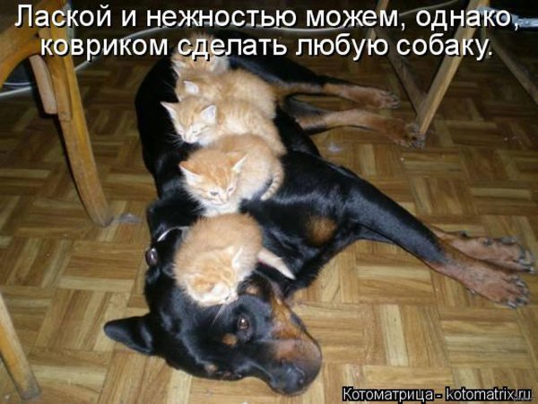 Да!