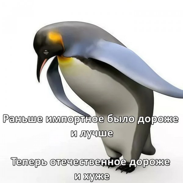 Citrfj4x