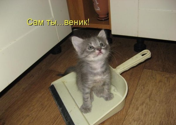 Да! ))