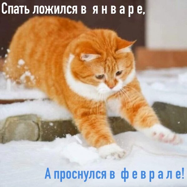 Январь - февраль