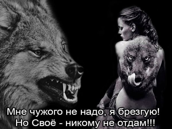 iMOvhMzB8GE