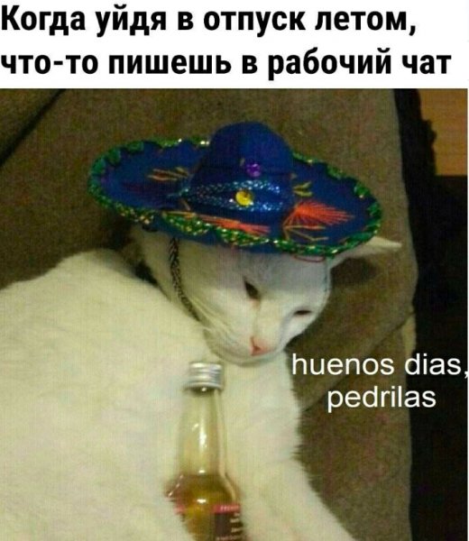 Т9 )