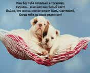 2yxa ru S Dnem Vseh Vlyublennyh Happy Va