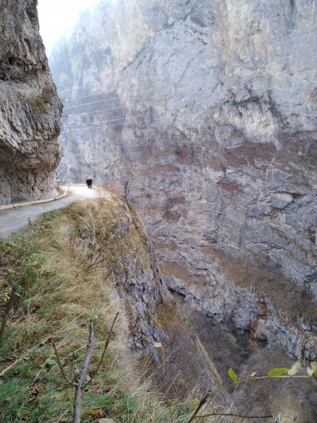 IMG 20201122 123947