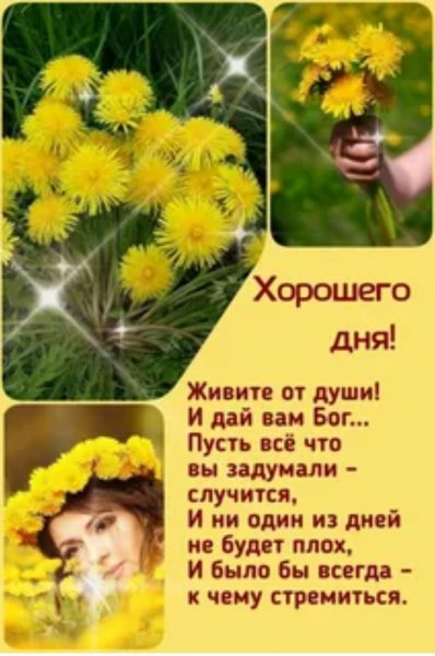 Друзья!