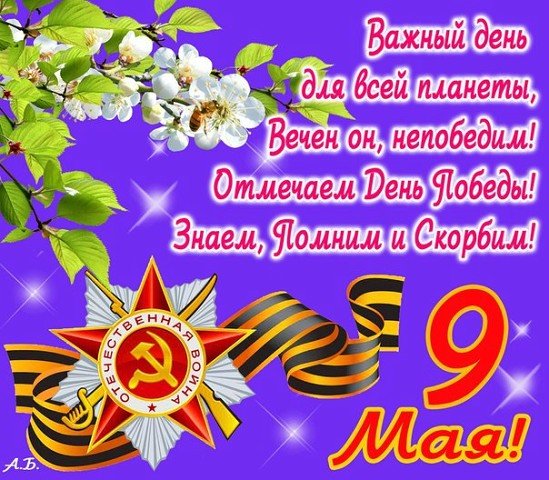 image(380)