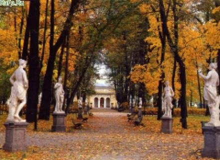 Летний сад
