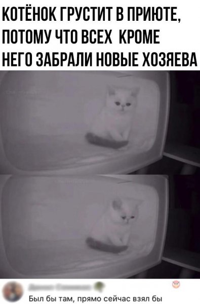DgzWo8YX63g