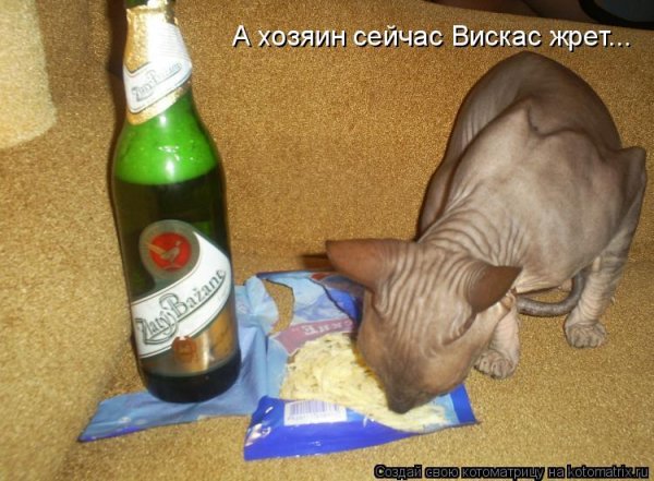 Упс!
