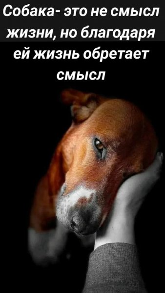 Так и есть!
