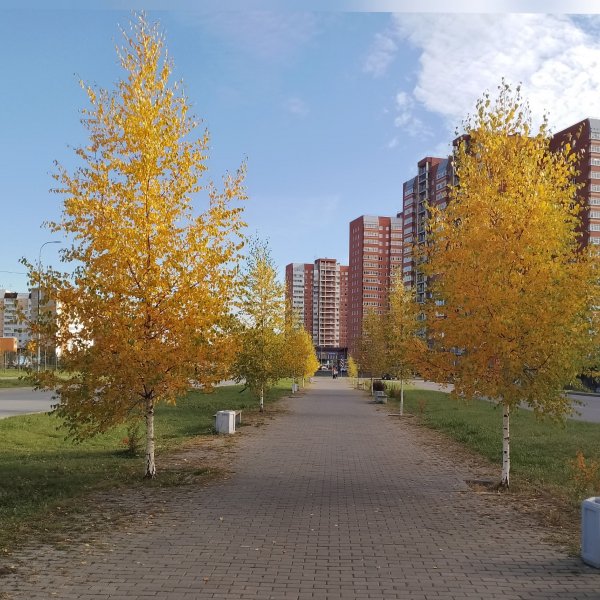 Наша осень