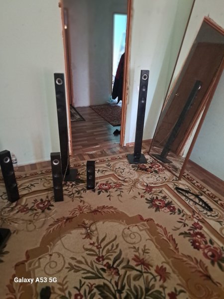 picture_337641531