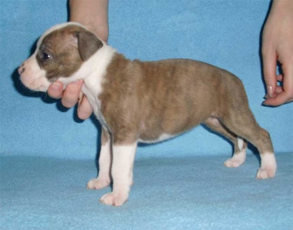 30days female dzhenifer 01
