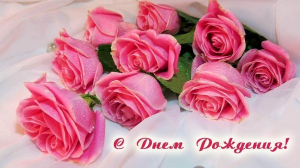 image (26)