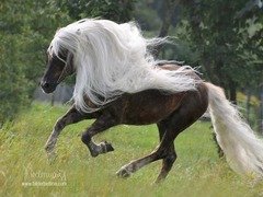 tumblr n95kjr27M41qlc1r4o1 1280