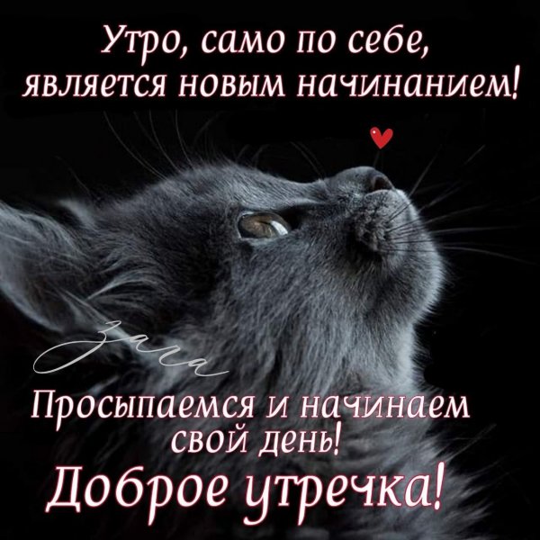 Всем вам!