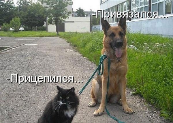 )))