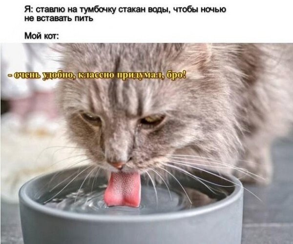 IMG 20260901 071055