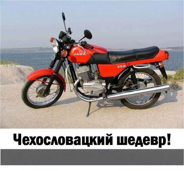 IMG 20221024 200503
