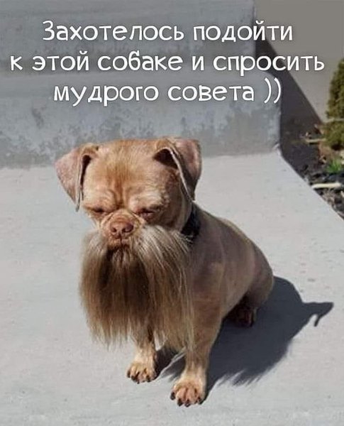 IMG 20220915 161442